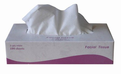 Premium White Facial Tissue - 100 Sheets/Box